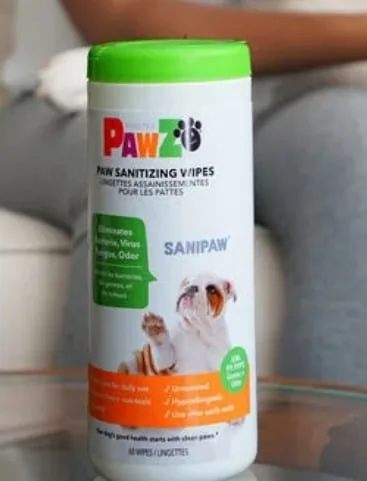 Shiba Inu puppy paw protection