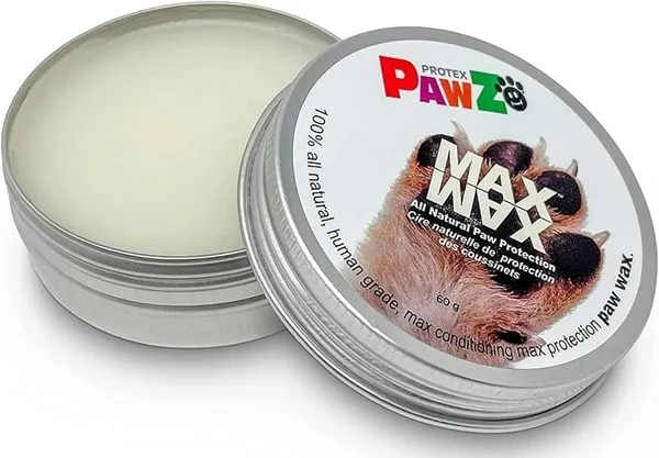 Paw balm winter care for Shiba Inu puppy paw protection